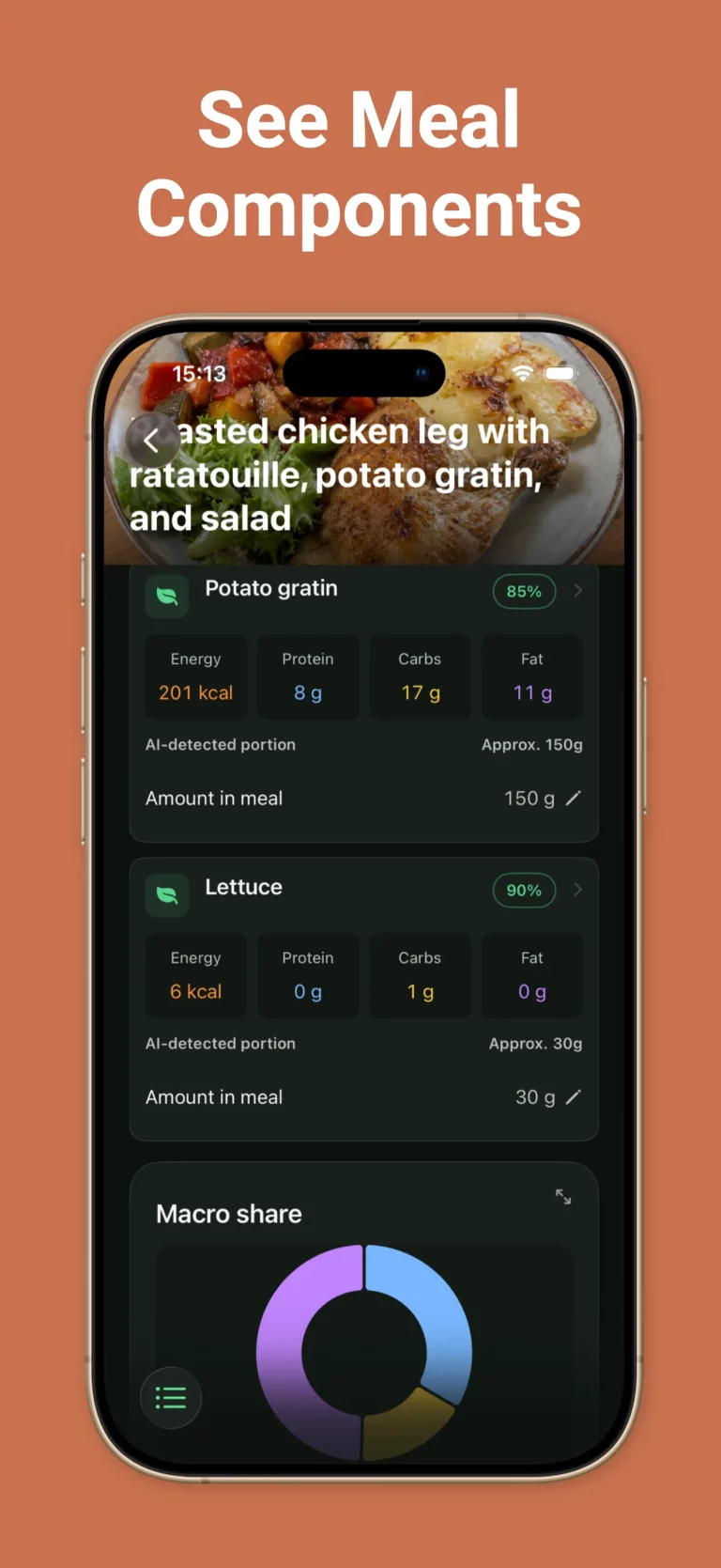 Nutrametry meal analysis showing detected food components and macros